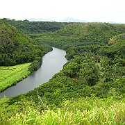 Picture 019